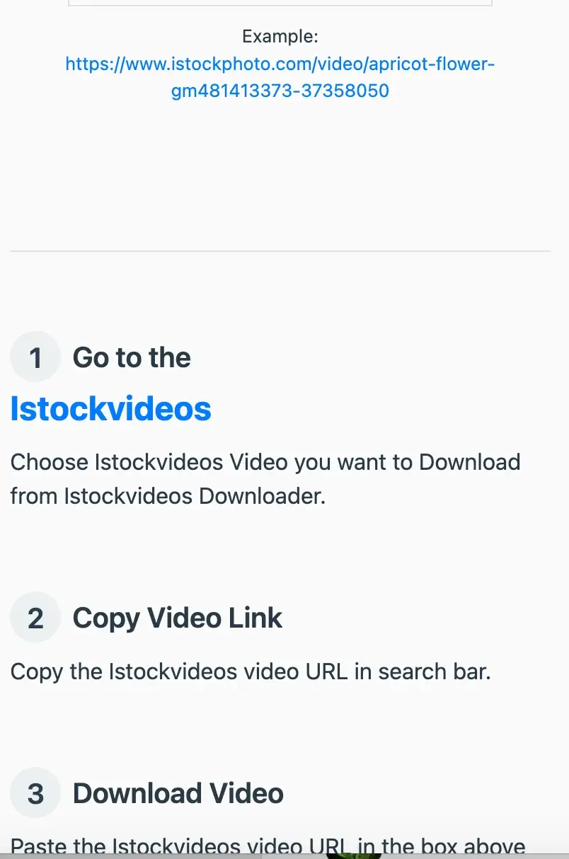 iStock Video Downloader Without Watermark Screenshot 3